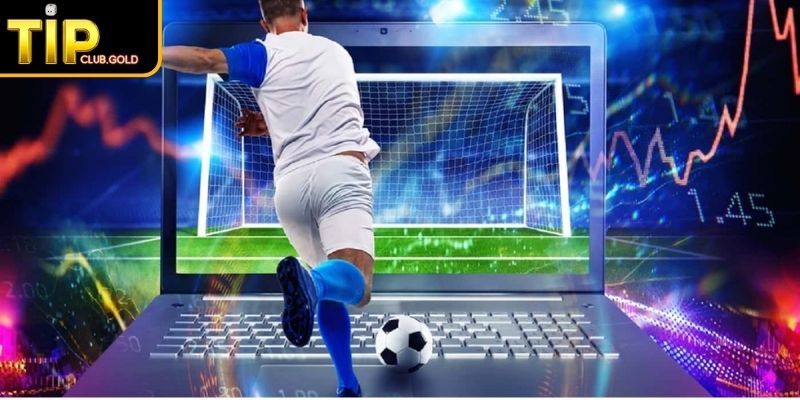 Cách đọc và sử dụng máy tính dự đoán bóng đá